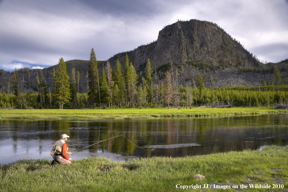 Madison River, Yellowstone National Park.