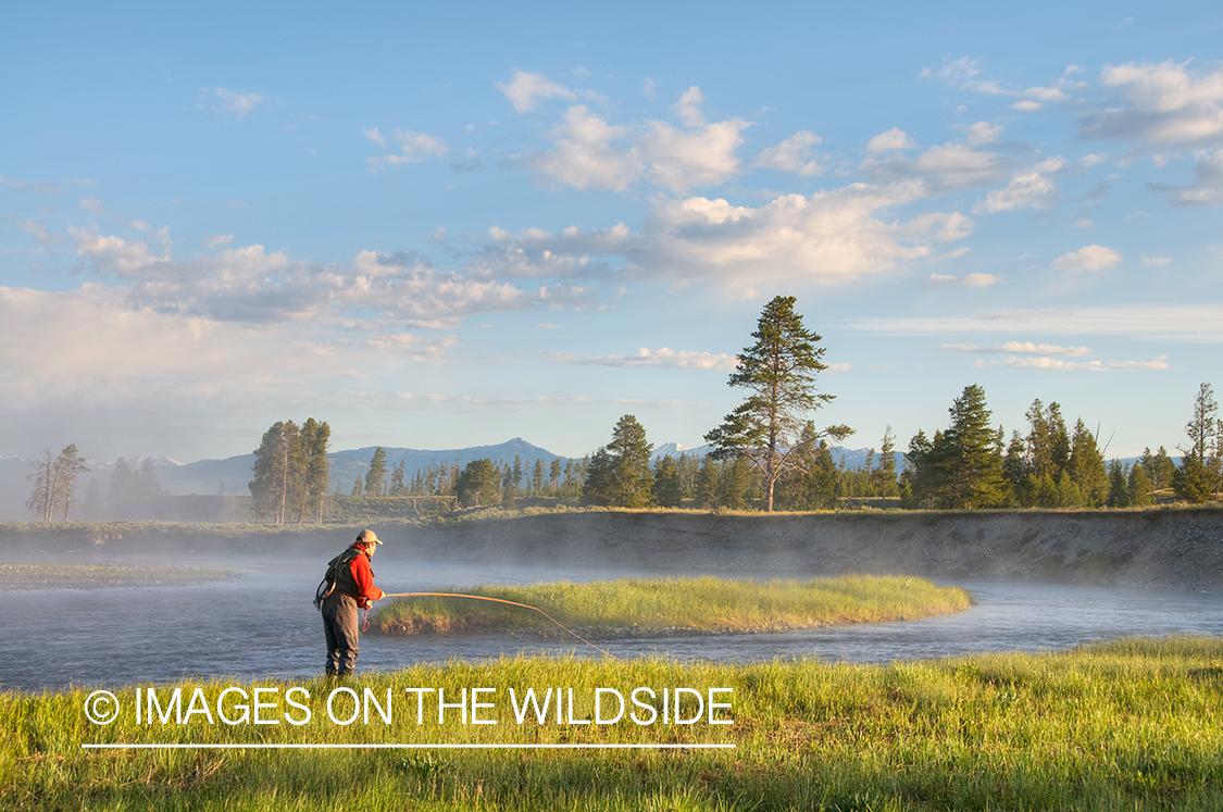 Flyfisherman on Madison River, YNP.