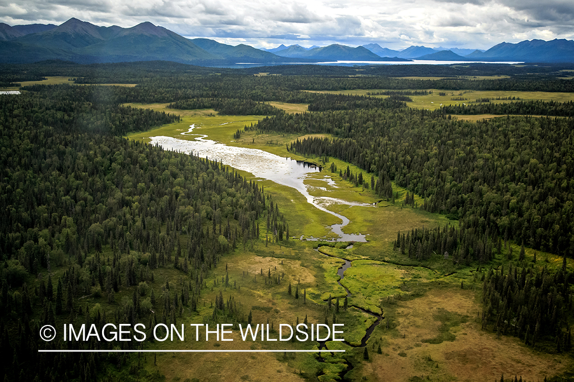 Ariel view of Alaska.