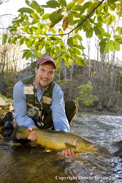 Close-up of nice brown trout.