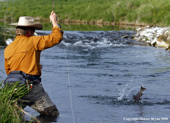 Flyfisherman fishing warm springs