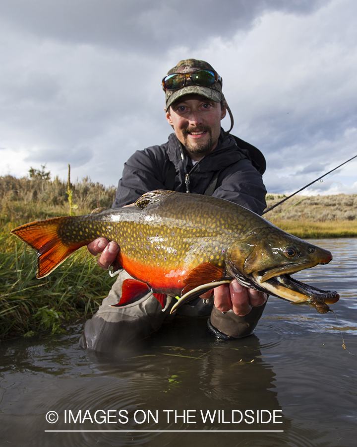 Flyfisherman with a brook trout.