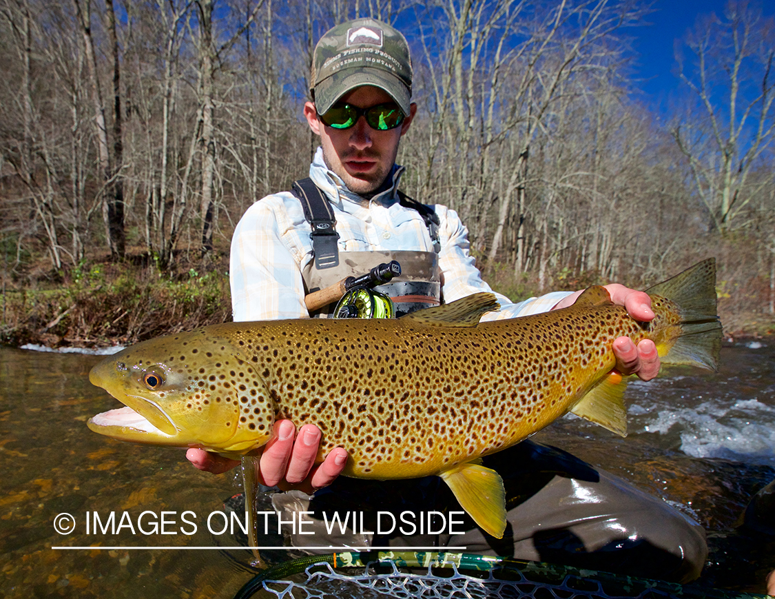 Flyfisherman with brown trout.