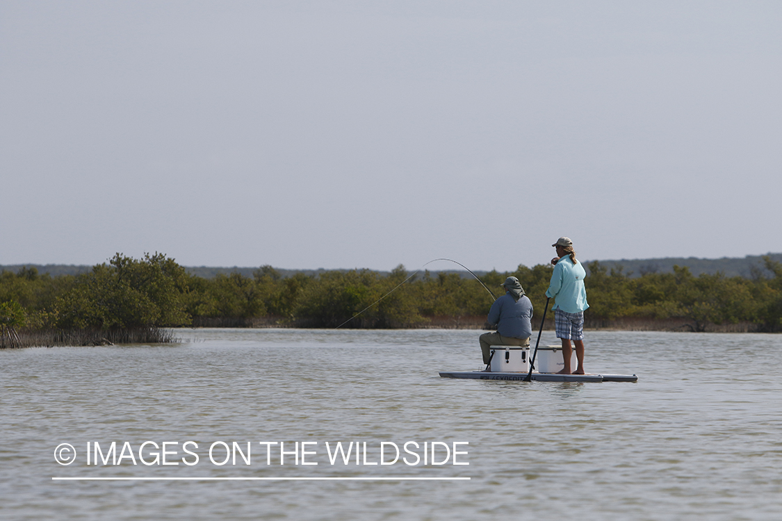 Saltwater flyfishermen on stand up paddle boards.