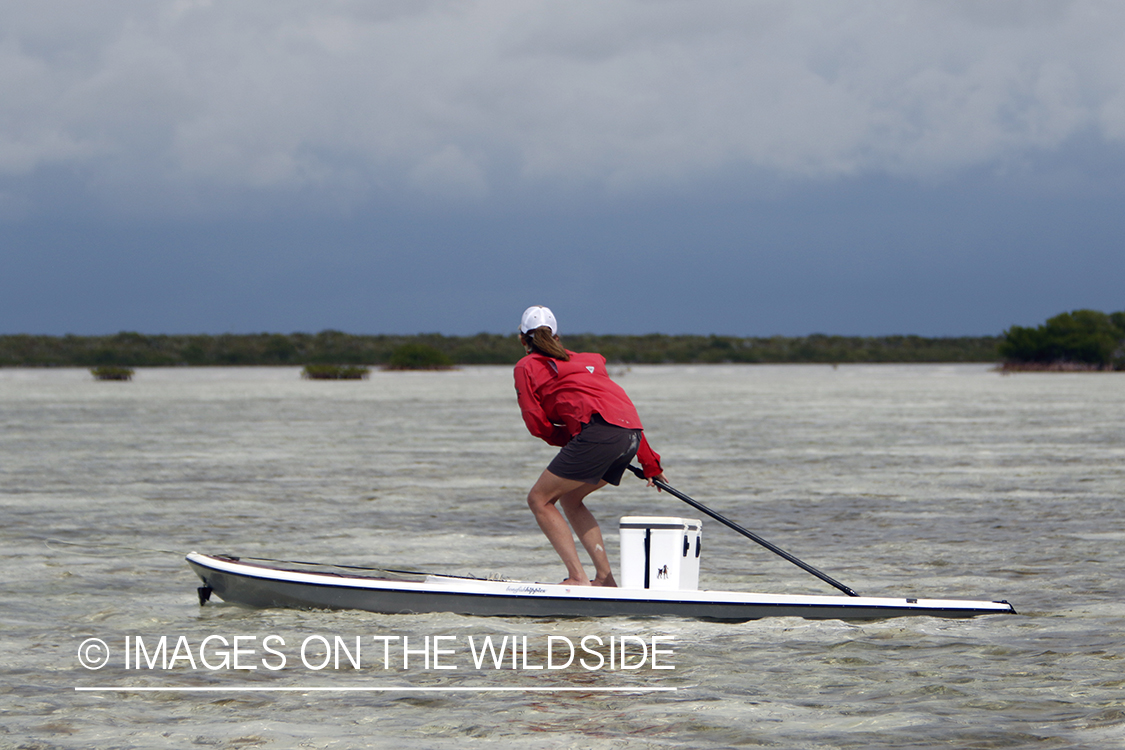 Saltwater flyfishing woman on stand up paddle board looking for fish.