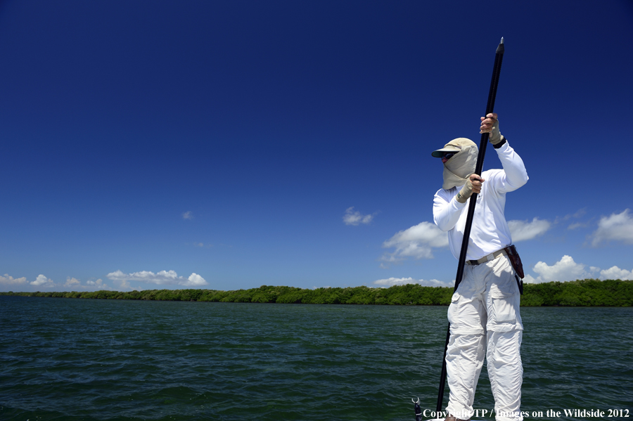 Tarpon flyfisherman. 