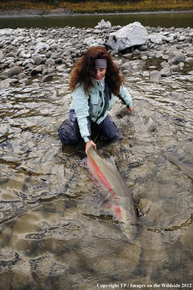 Fisherwoman releasing Steelhead. 