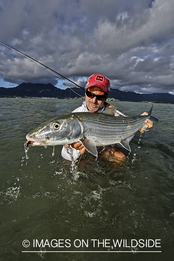 Saltwater flyfisherman with 13 lb bonefish, in Hawaii. (HDR)