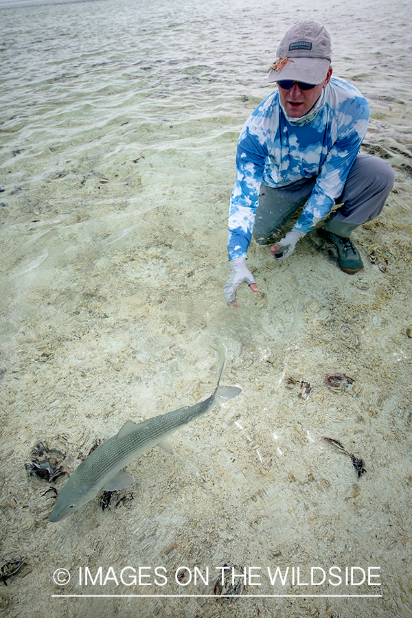 Flyfisherman releasing bonefish.