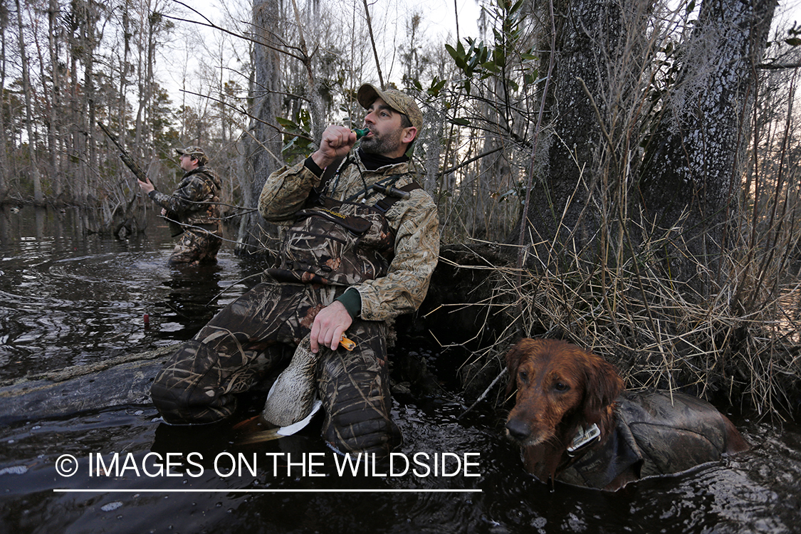 Waterfowl hunters calling ducks in southern wetlands. 