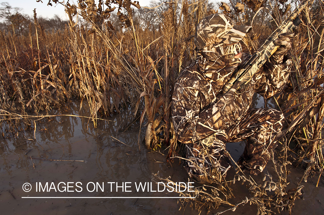 Waterfowl hunter camouflaged in wetlands.