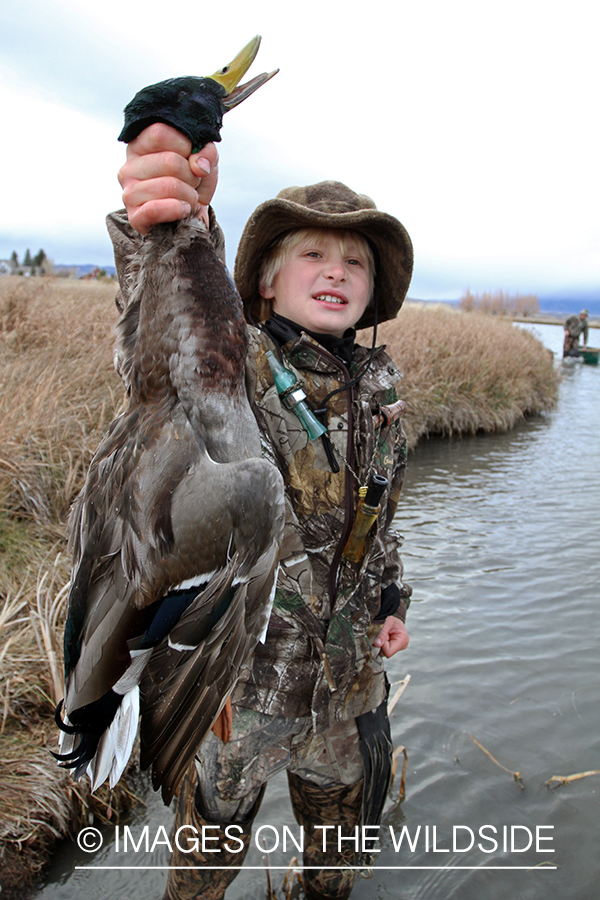 Young waterfowl hunter with bagged mallard.