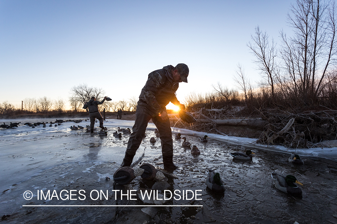 Waterfowl hunting