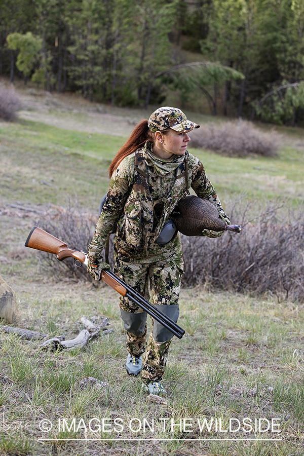 Women hunter setting turkey decoy.