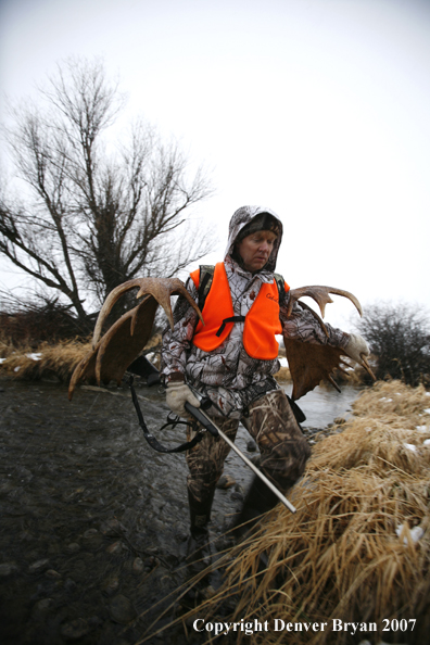 Moose hunter in field