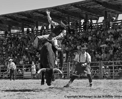 Augusta Rodeo