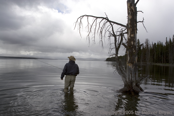 Flyfisherman fishing lake.