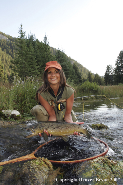 Brown Trout