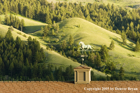 Bridger Mountains of Montana with horse weathervane on top of barn in foreground.