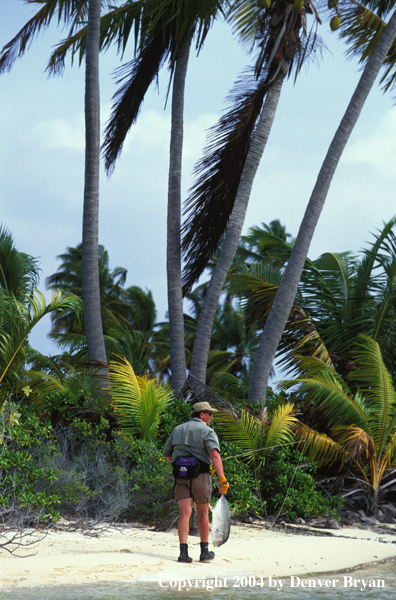 Saltwater flyfisherman walking on beach with trevally.