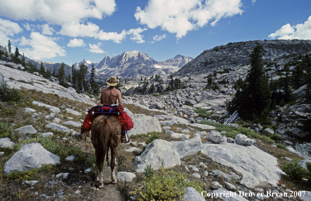 Horsepacking on trail through mountains.