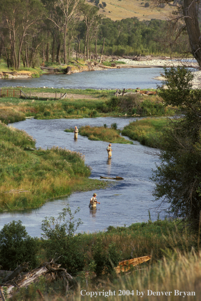 Flyfishermen on river.