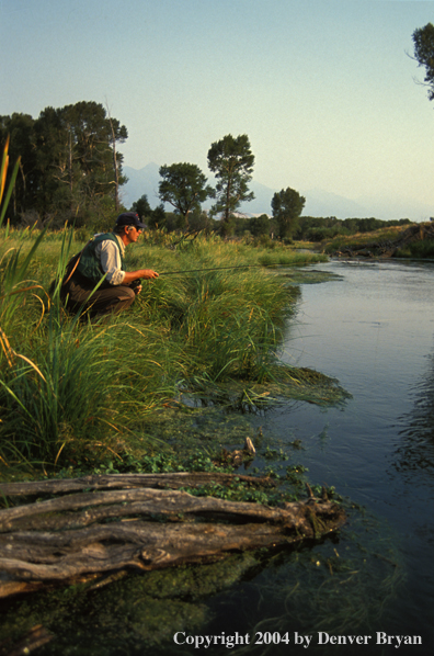 Flyfisherman fishing.