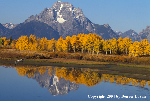 Snake River, Grand Teton National Park, Wyoming.