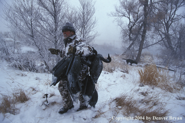 Waterfowl hunter with decoys. 