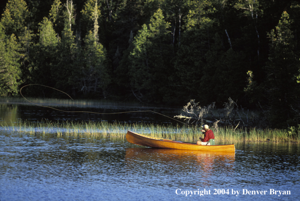 Flyfisherman fishing from cedar canoe.