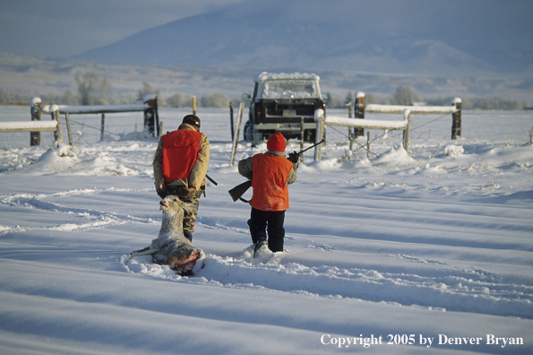 Father and son deer hunters dragging whitetail deer back to truck through a field in winter.