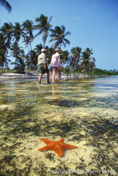 Saltwater flyfishing couple look for fish on flats.