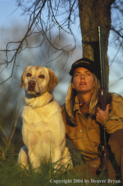 Upland game bird hunter with yellow Lab.