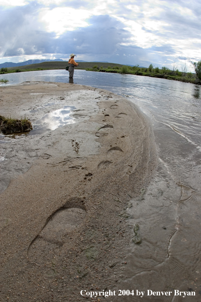 Flyfisherman on river.