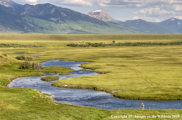 O'Dell Creek, Montana. 