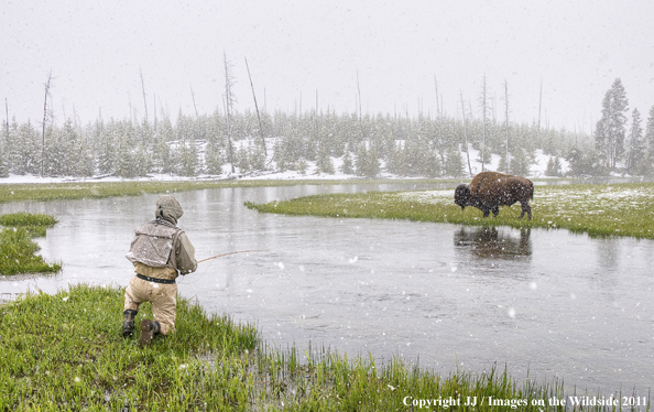 Flyfishing on the upper Firehole River, Yellowstone National Park. 