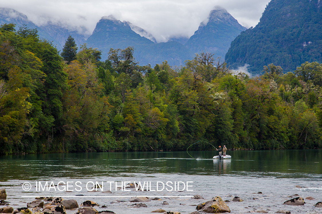 King salmon fishing in Chile.