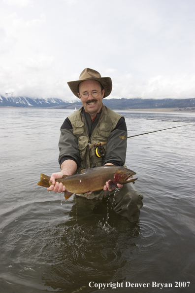 Flyfisherman with large cutthroat trout.