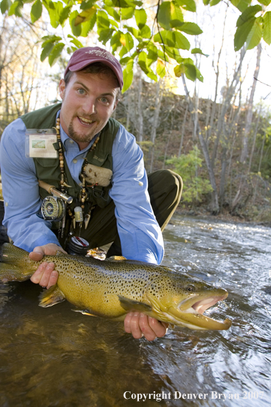 Close-up of nice brown trout.