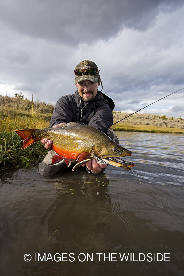 Flyfisherman with a brook trout.