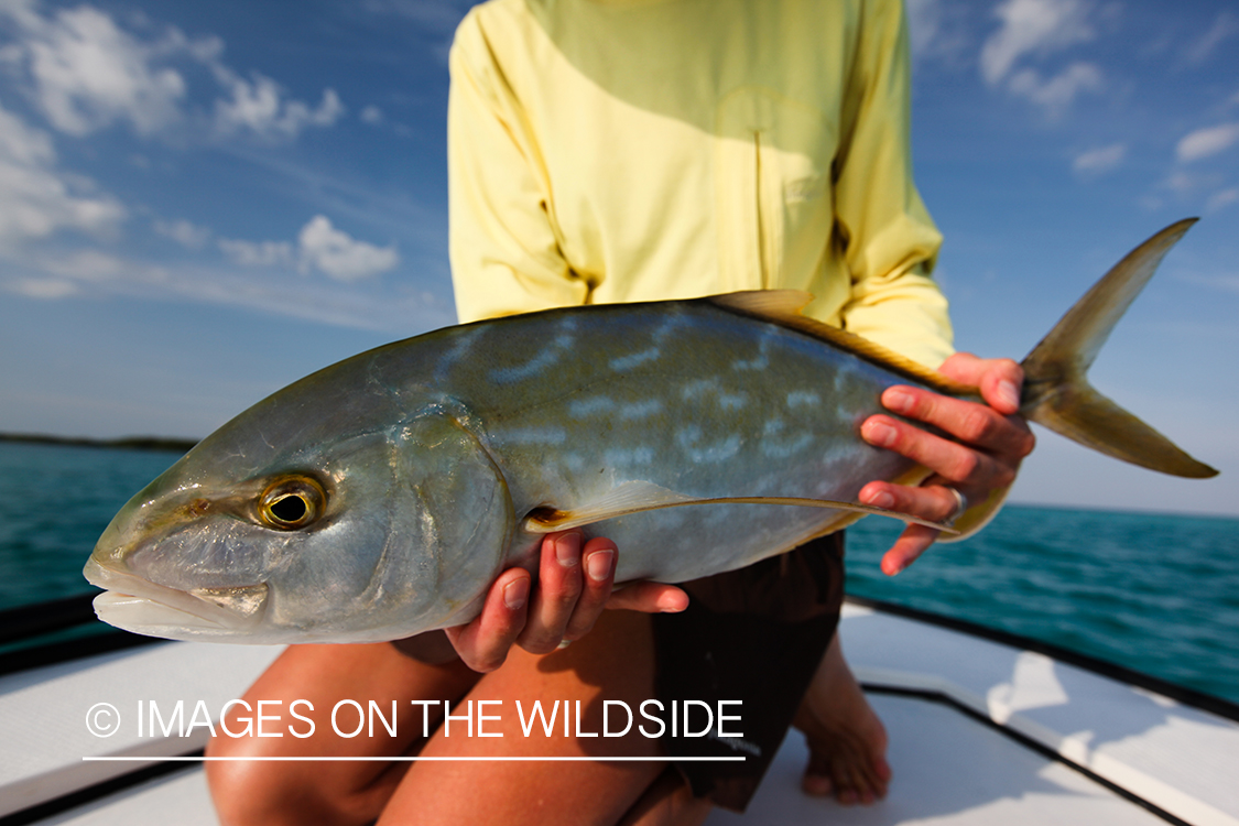 Flyfisherman with fish.