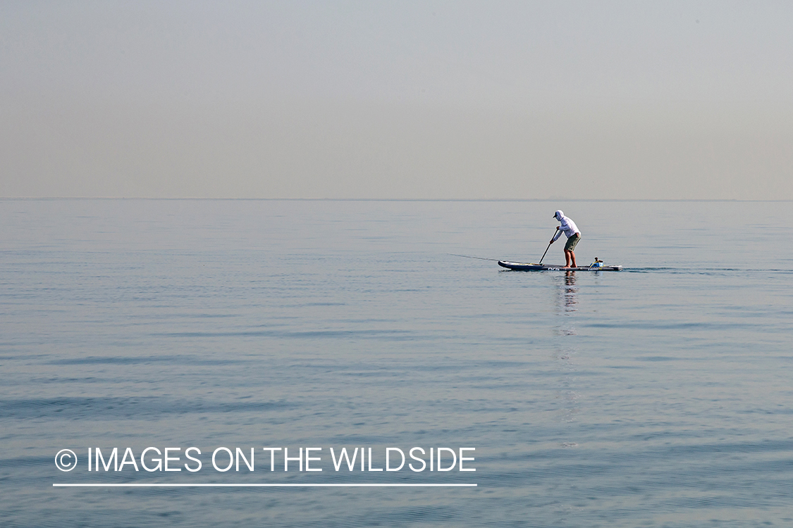 Flyfishing for queenfish off the coast of Dubai, UAE.