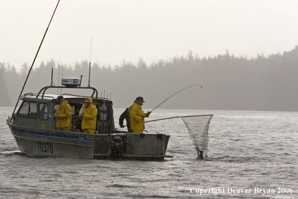 Fisherman netting a salmon.  