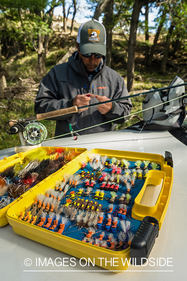 Flyfisherman choosing fly.