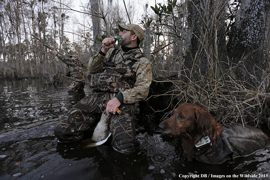 Waterfowl hunters calling ducks in southern wetlands. 