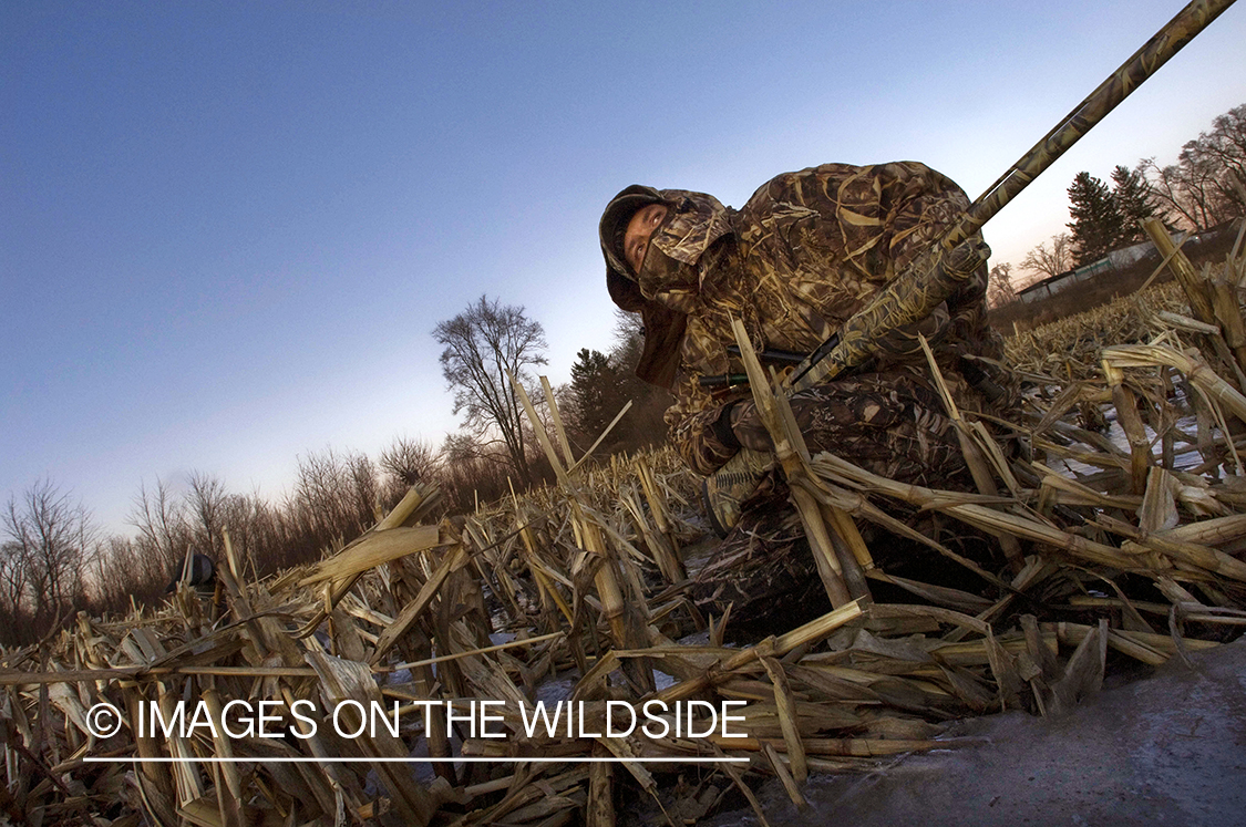 Waterfowl hunter camouflaged in wetlands.