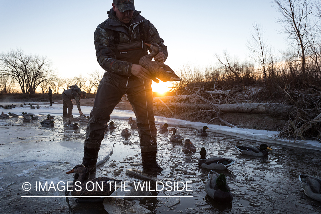 Waterfowl hunting