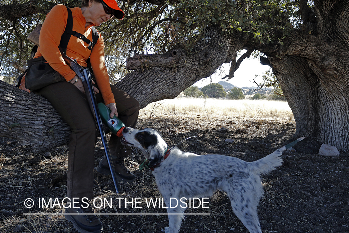 Female hunter in shade giving dog water.