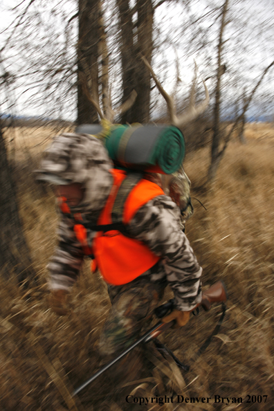 Mule deer hunter in field.