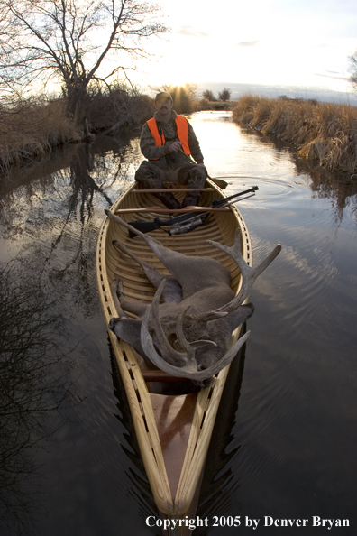 Big game hunter paddling canoe with bagged white-tail deer in bow